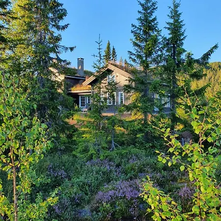 Luxurious, Well-equipped And Modern By The Cross-country Trails Nyaraló