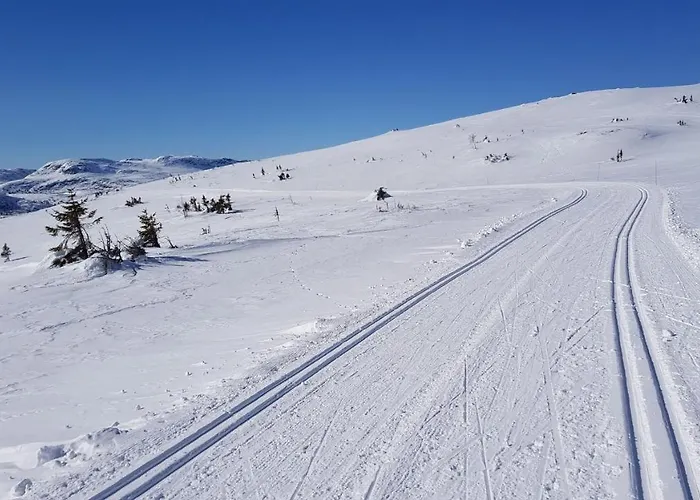 Luxurious, Well-equipped And Modern By The Cross-country Trails *