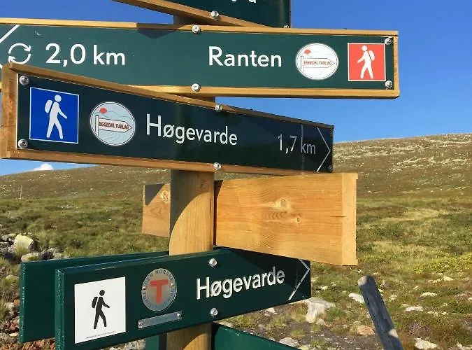 Luxurious, Well-equipped And Modern By The Cross-country Trails Eggedal