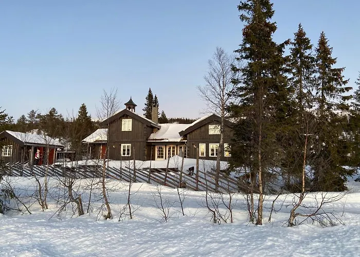 Luxurious, Well-equipped And Modern By The Cross-country Trails Eggedal