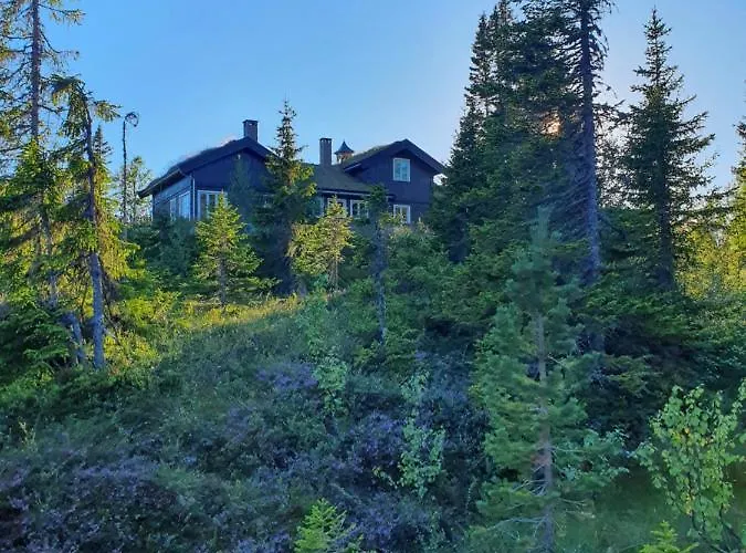 Luxurious, Well-equipped And Modern By The Cross-country Trails