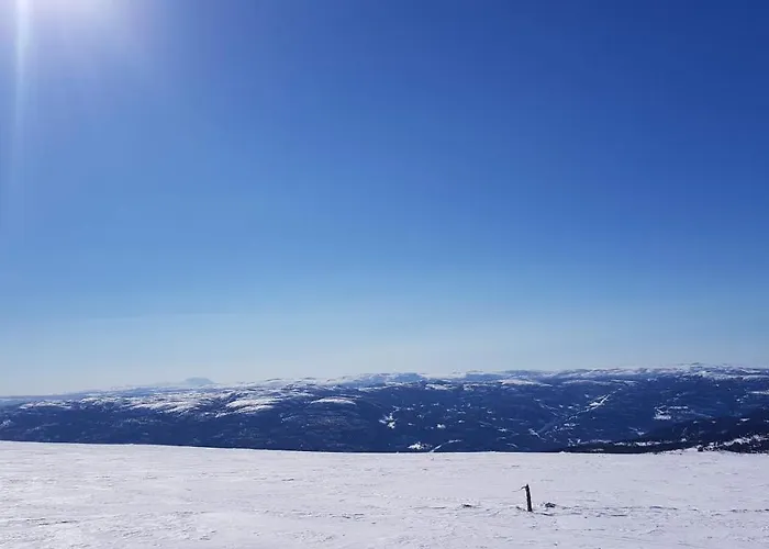 Luxurious, Well-equipped And Modern By The Cross-country Trails * Eggedal