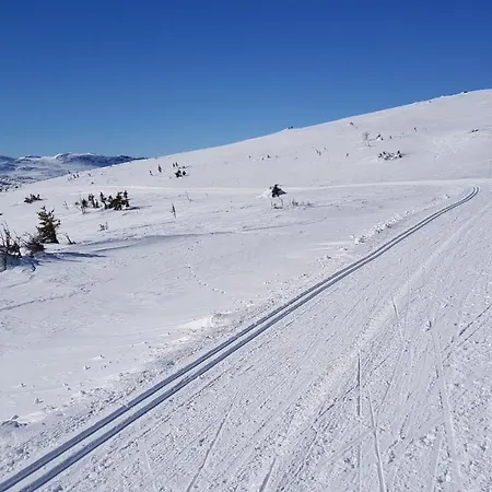 Luxurious, Well-equipped And Modern By The Cross-country Trails *