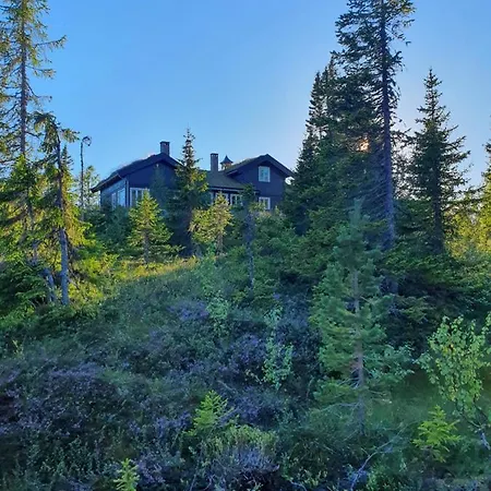 Luxurious, Well-equipped And Modern By The Cross-country Trails