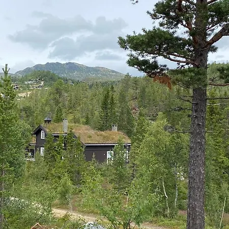 Luxurious, Well-equipped And Modern By The Cross-country Trails